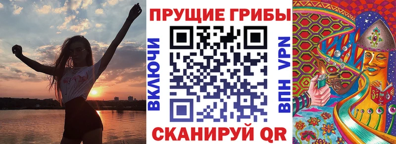 дарнет шоп  Таруса  Псилоцибиновые грибы ЛСД 